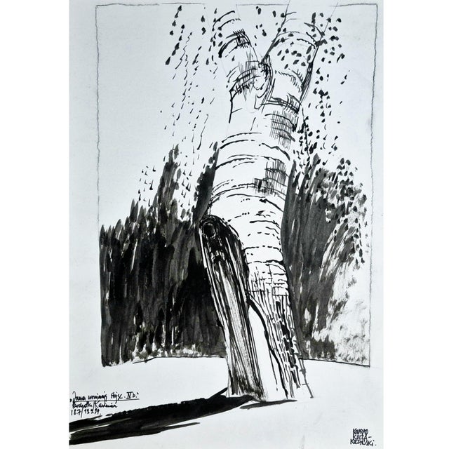 Contemporary Konrad Kucza-Kuczynski, Tree (Trees Die Standing), Ink on Paper For Sale - Image 3 of 8