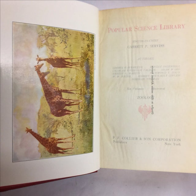 Collier Popular Science 1940 - Set of 6 For Sale In New York - Image 6 of 11