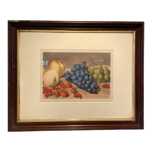 Antique Still Life Artwork of Fruit Art With Gold Gilt Frame
