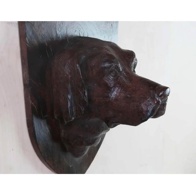 Antique 19th Century English Carved Oak Dogs Head Crest, 1880 For Sale - Image 4 of 7