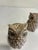 Vintage Ceramic Owl Salt and Pepper Shakers — A Pair For Sale In Oklahoma City - Image 6 of 10