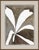 Susan Hable is a renowned artist and designer based in Athens, Georgia, known for her bold and colorful works. Co-founder...