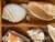 Coastal Antique Sea Shell Display Selection in Wooden Trayin For Sale - Image 3 of 5