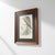 19th-Century Framed John Gould Red Kite | Original Antique Bird Print For Sale - Image 4 of 12