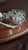 1950s Vintage Fb Rogers Silver Co Silverplate Punch Bowl Set With 12 Cups & Ladle 5614 For Sale - Image 5 of 13