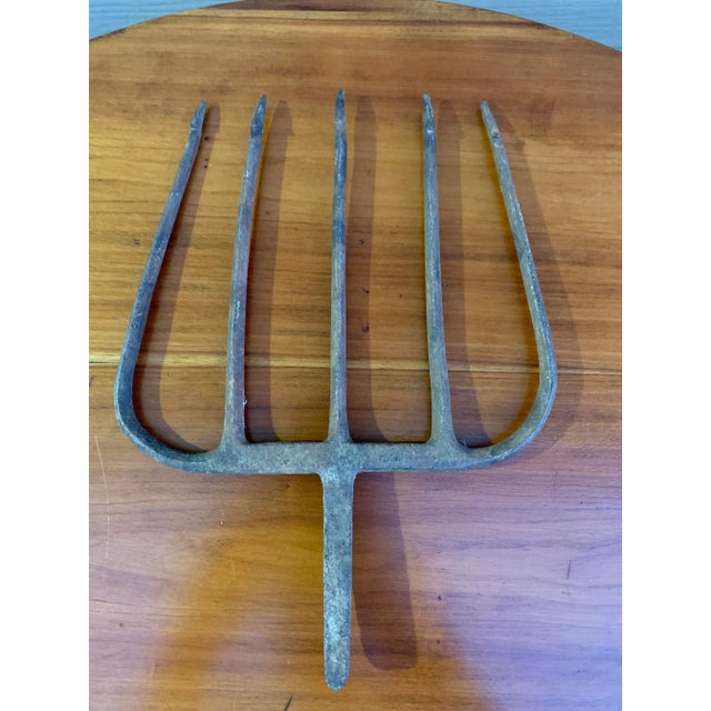 19th-Century Hand-Forged Five-Prong Iron Fishing Spear For Sale - Image 10 of 10