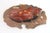 Late 19th Century Meiji Period Japanese Gold and Silver Inlaid Bronze Frog Group (Clip) For Sale - Image 13 of 16