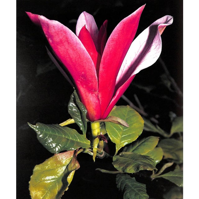 1980s "The Gardens of Ireland" Book 1986 Bowe, Patrick For Sale - Image 5 of 9