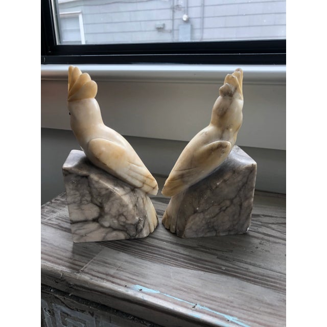 1930s Italian Alabaster Carved Cockatoo Bookends-A Pair For Sale - Image 9 of 9