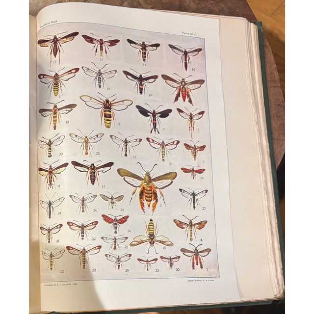 A beautifully preserved pair of early 20th - century natural history volumes by W.J. Holland. The Butterfly Book (1920)...