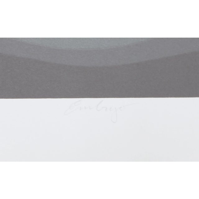 Op Art Roy Ahlgren, "Embryo", Op Art Screenprint For Sale - Image 3 of 5