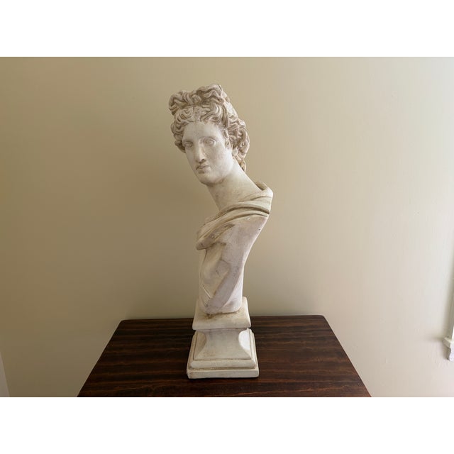 White Late 20th Century Large Neoclassical Plaster Bust of Apollo Belvedere For Sale - Image 8 of 12