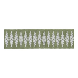 Schumacher Genevieve Embroidered Tape Trim in Green For Sale