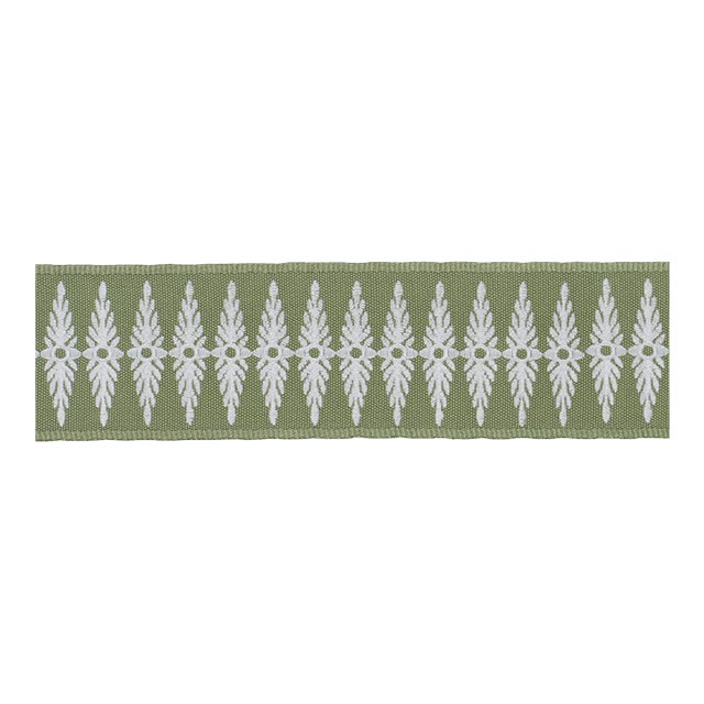 Schumacher Genevieve Embroidered Tape Trim in Green For Sale