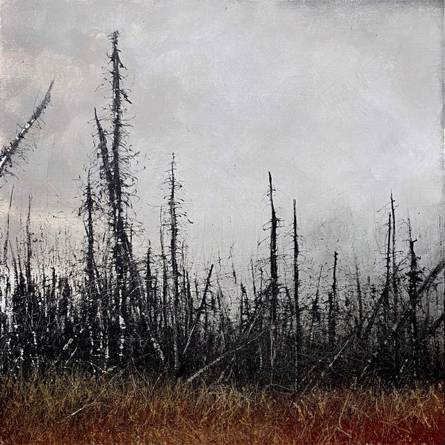 This artwork depicts a stark landscape marked by the skeletal remains of charred trees, rising against a muted gray sky....