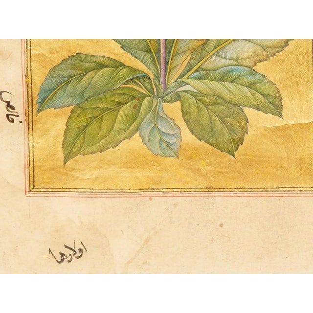 19th Century Antique Persian Manuscript Gold Leaf Miniature Painting For Sale - Image 5 of 9