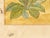 19th Century Antique Persian Manuscript Gold Leaf Miniature Painting For Sale - Image 5 of 9