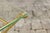 Metal Vintage Pair of Italian Brass and Glass Folding Side Table with Sandaled Feet For Sale - Image 7 of 10