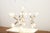 C300 Table Lamp in Acrylic Glass, Aluminum and Plastic by Robert and Trix Haussmann for Swiss Lamps International, 1965 For Sale - Image 10 of 16