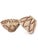 beautiful set of two generously sized Bat Trang ceramic bowls, handcrafted in Vietnam and perfectly proportioned for pho,...