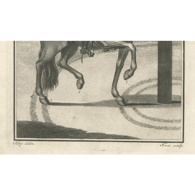 Gaspar Fróis Machado, Dressage and Piaffe, 1790, Engraving, Set of 3 For Sale - Image 11 of 15