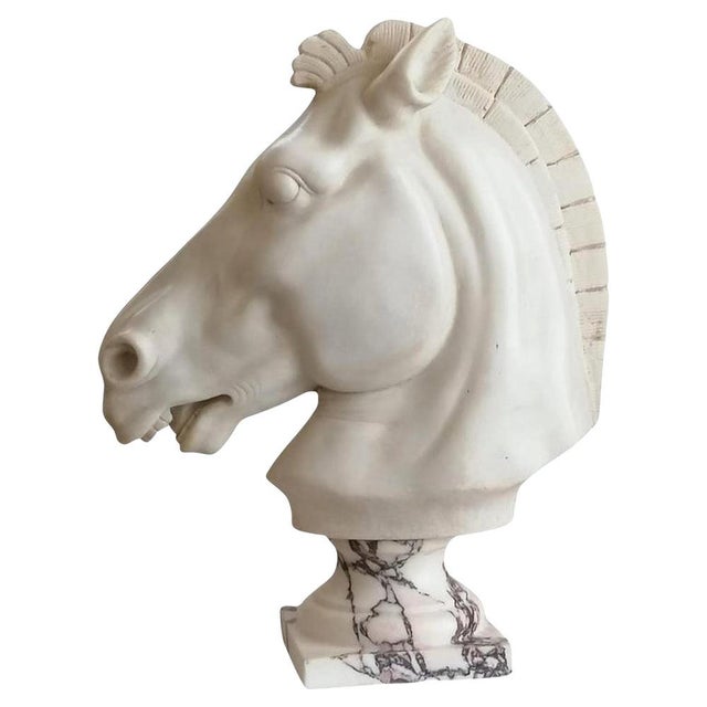 Italian Artist, Horse Head, Carrara Marble, Early 20th Century For Sale - Image 6 of 6