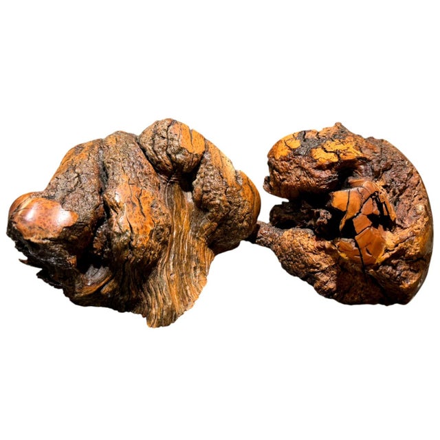 Vintage Natural Burl Wood Live Edge Bookends – Pair Striking vintage pair of solid burl wood bookends featuring naturally...