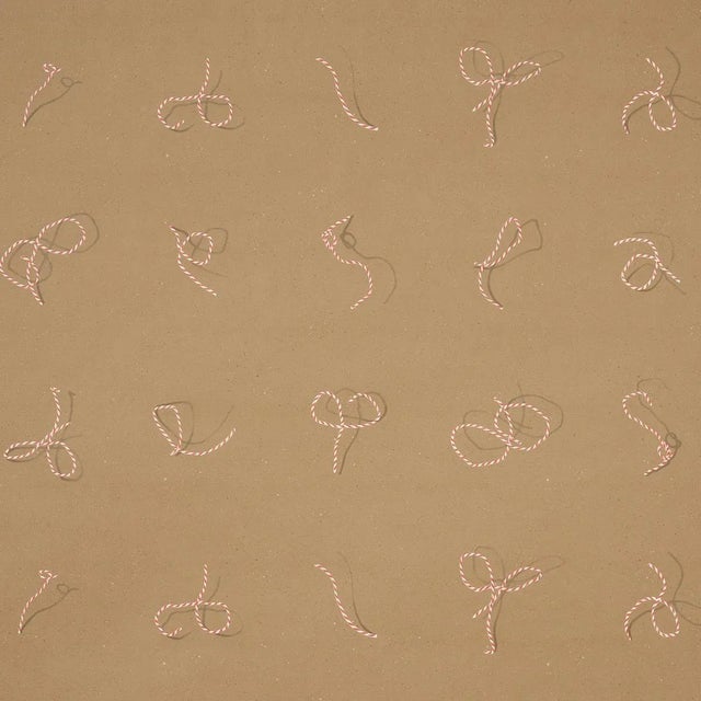 Schumacher Sample - Schumacher Butcher String Wallpaper, Red & White on Brown For Sale - Image 4 of 4