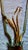Venetian Glass Art Deco Etched Mirrored Wall Sconces - A Pair For Sale - Image 10 of 14