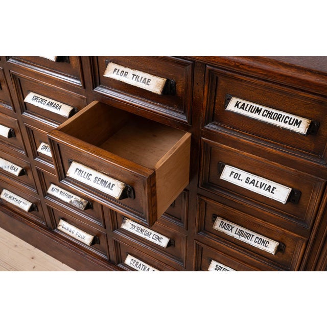 20th Century Apothecary Chest of Drawers in Oak Wood, 1920s For Sale - Image 6 of 10