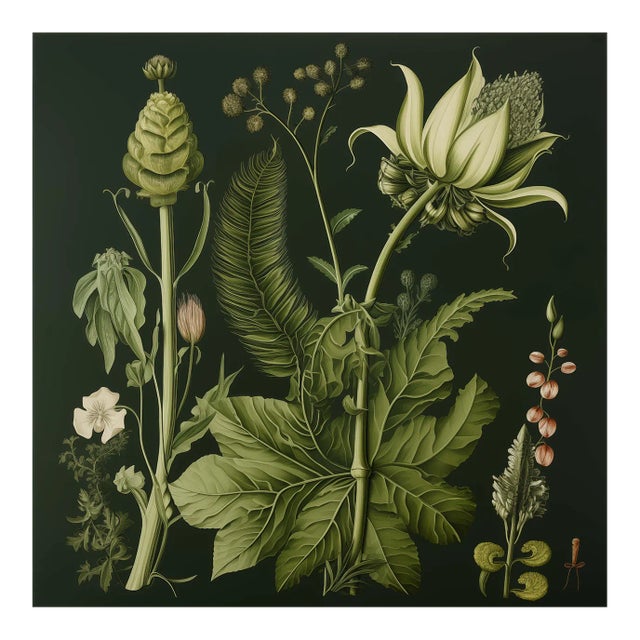 20' X 20' Original Watercolor Botanical Fine Art Print - Dark Green, Unframed For Sale