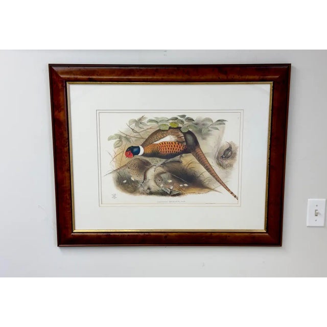 Impressionist John Gould & Henry Constantine Richter Birds of England Pheasant Print For Sale - Image 3 of 11