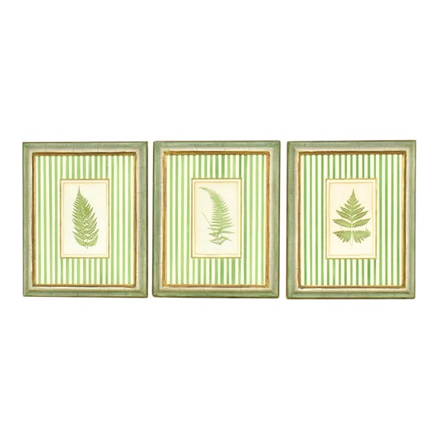 Set of Three Framed Botanical Prints For Sale