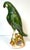 Monumental Chinese Export Porcelain Green Sancai Glazed Parrot, Late 19th C For Sale - Image 17 of 18