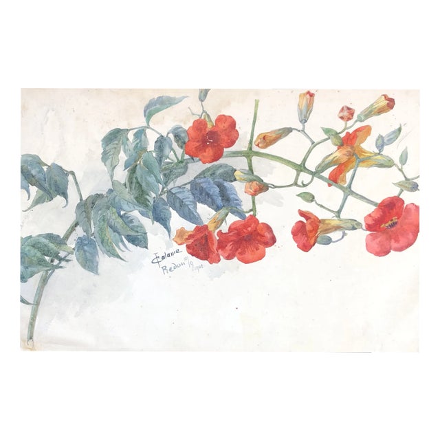 Juliette Calame, Flowering Branch, 1902, Watercolor on Paper For Sale