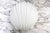 Large Shell Wall Lamp in Opal Glass from Glashütte Limburg, 1970s For Sale - Image 9 of 11
