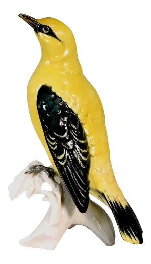 Early 20th Century Porcelain Indian Golden Oriole by Karl Ens Volkstedt Germany