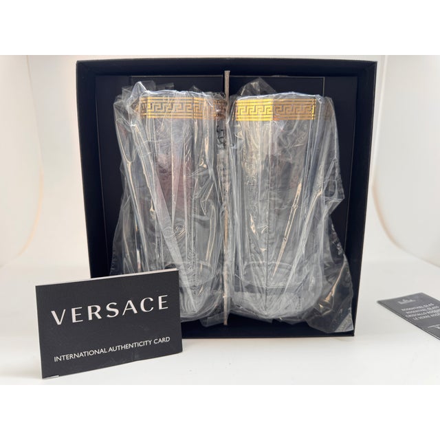 Modern Medusa Dor Longdrink Glasses by Versace for Rosenthal, 1990s, Set of 2 For Sale - Image 3 of 7