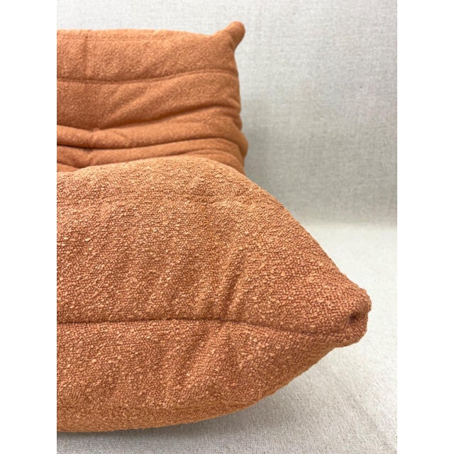 Brown Togo 2-Seater Sofa by Michel Ducaroy for Ligne Roset, 2010 For Sale - Image 8 of 18