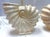 C1980's Palm Beach Chic Nautilus Shell Table Lamps- A Pair For Sale - Image 14 of 18