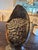 African Late 20th Century Zimbabwe Sculpture Shona For Sale - Image 3 of 15