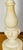 Alabaster Organic Modern Pair of Sea Whip Branches on Alabaster Bases For Sale - Image 8 of 9