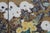 Japanese Paulownias & Chrysanthemums Lithograph After Sakai Hoitsu 31" For Sale - Image 11 of 13
