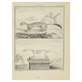 Pieter Franciscus Pitre-Martenise, Le Roselet, Etching, 1771 For Sale