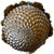 Green 1960s Gold & Green Pinecone Finial Sculpture With Acanthus Leaf Motif and Square Plinth For Sale - Image 8 of 10