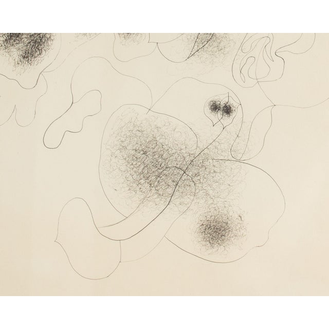 Contemporary “Fraudulent Garden” Abstract Ink Drawing by William Itter For Sale - Image 3 of 7