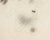 Contemporary “Fraudulent Garden” Abstract Ink Drawing by William Itter For Sale - Image 3 of 7
