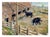 Grazing cows on the California Big Sur coast, a farm landscape by J.W Ford (American, 20th Century). Signed "J.W Ford"...