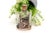 Glass Perfume Bottle with Silver Frame For Sale - Image 3 of 5