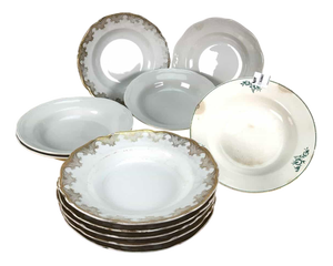 Ceramic Dinner Plates Richard Ginori, Set of 11